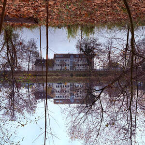 morgenspaziergang 09.11.2025