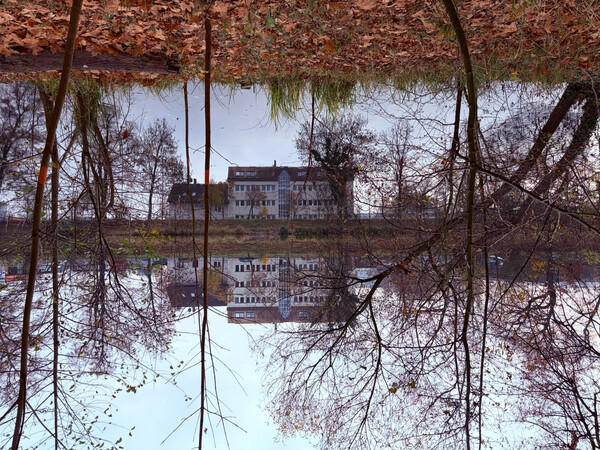 morgenspaziergang 09.11.2025