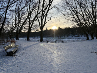 sonnenaufgang &uuml;ber der catcherwiese in den rehbergen. im vordergrund gl&auml;nzt der zu eis festgestampfte schnee in der morgensonne, im hintergrund kahle b&ouml;ume