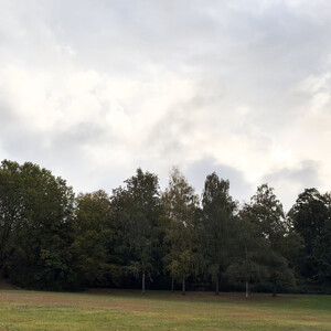morgenspaziergang 10.10.2026
