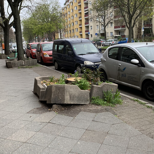 morgenspaziergang 10.4.2025