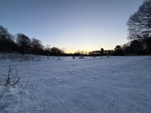 morgenspaziergang 11.01.2026