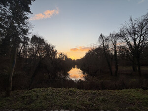 morgenspaziergang 11.12.2025