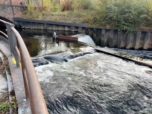 morgenspaziergang 12.11.2025