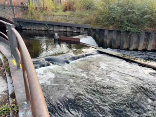 morgenspaziergang 12.11.2025