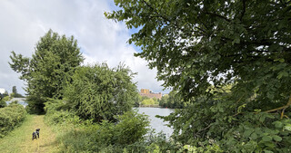 blick auf das heizkraftwerk reuter durch b&auml;ume und &uuml;ber die spree