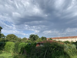 bild vom himmel am ende unseres morgenspaziergangs