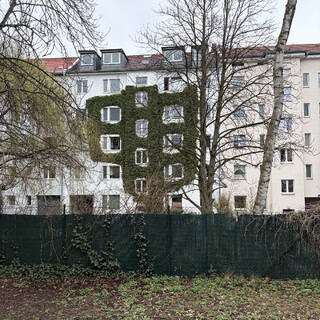 foto einer efeu-bewachsenen fassade am unionpark. der efeu umrahmt einmal 2, dann 4 und dann 3 fenster, was zugleich artifiziell und organisch aussieht.