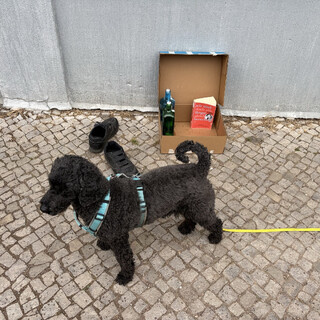 foto von frida vor einem pappkarton auf der l&uuml;tticher strasse. im karton stehen zwei leere flashcne mit kerzenst&uuml;mpfen und das buch &bdquo;Wir sind doch alle l&auml;ngst gleichberechtigt!&ldquo; von alexandra zykunov