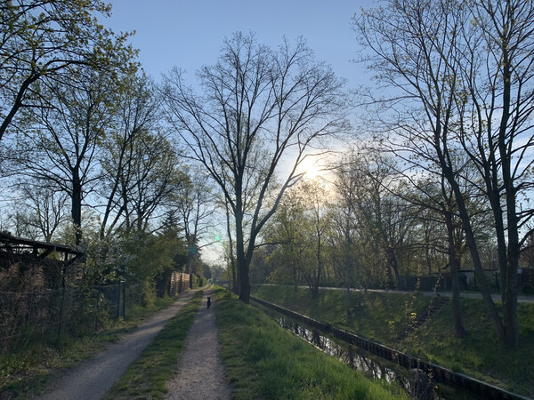 morgenspaziergang 15.4.2025