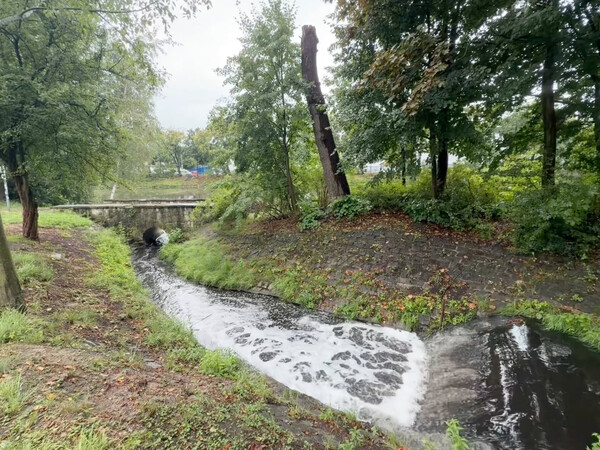 morgenspaziergang 16.08.2026