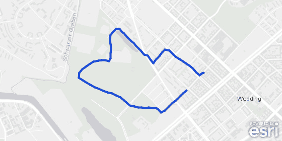 morgenspaziergang 18.02.2026