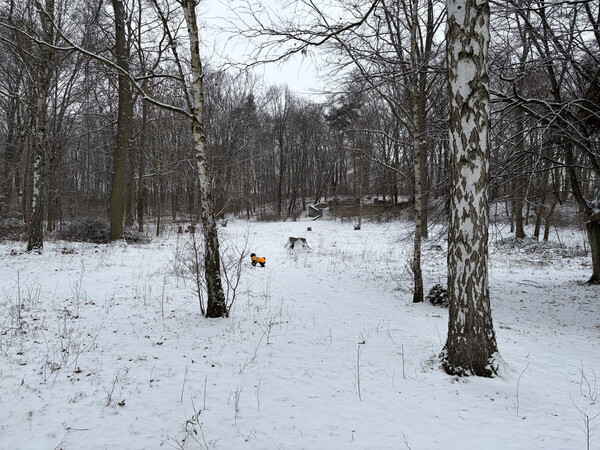 morgenspaziergang 18.02.2026 & eine gpx-datei