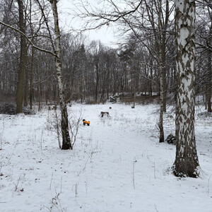 morgenspaziergang 18.02.2026 & eine gpx-datei