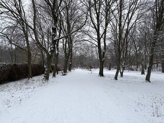 foto aus dem goethepark, man sieht kahle, dunkle bäume und etwas neuschnee, der den boden komplett bedeckt. insgesamt ist die stimmung sehr grau.