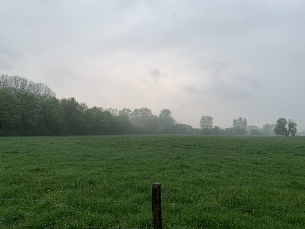 morgenspaziergang 18.4.2025