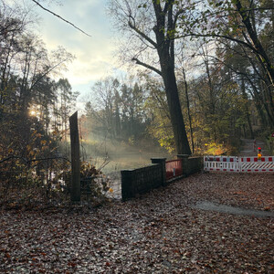 morgenspaziergang 19.11.2025