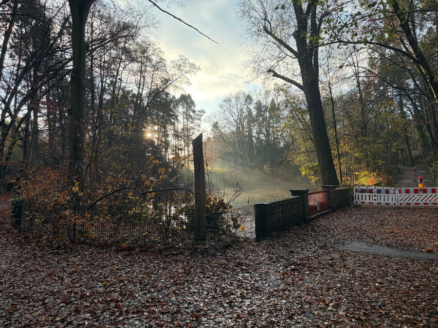 foto vom sperlingsee in den rehbergen am frühen morgen. man sieht nebelschwaden über denm see und die sonne steht im gegenlicht.