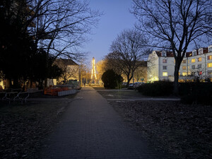 morgenspaziergang 20.01.2026