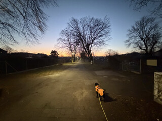 fr&uuml;hmorgentliches foto in der dauer-kleingartensiedlung &bdquo;togo&ldquo; e.V.