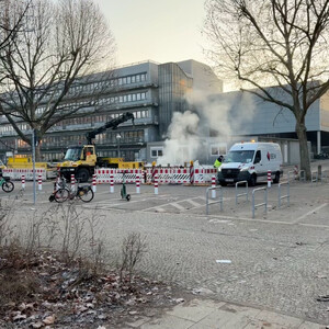 morgenspaziergang 22.01.2026