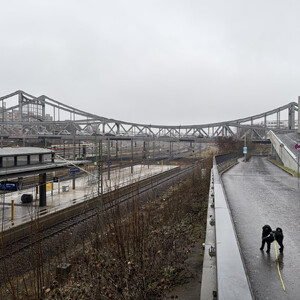 morgenspaziergang 22.02.2026