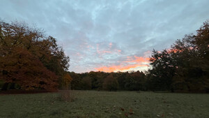 morgenspaziergang 22.10.2025 morgenspaziergang 22.10.2025