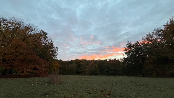 morgenspaziergang 22.10.2025