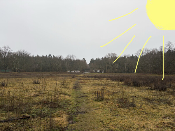 morgenspaziergang 22.12.2025
