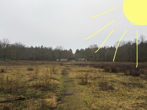 morgenspaziergang 22.12.2025