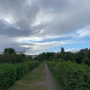 morgenspaziergang 23.08.2025