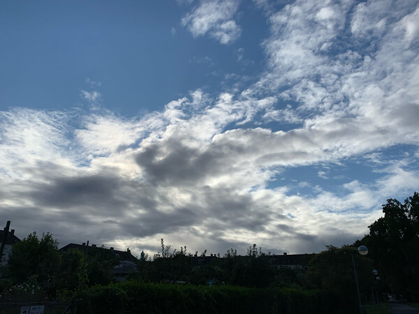 morgenspaziergang 23.08.2025