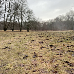 morgenspaziergang 24.02.2026