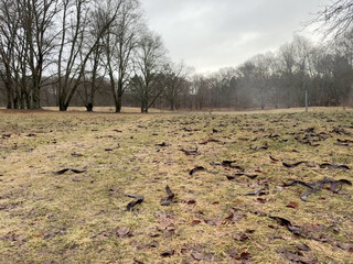 morgenspaziergang 24.02.2026