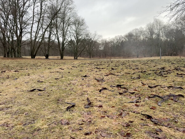 morgenspaziergang 24.02.2026
