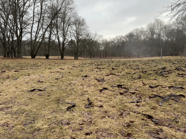 morgenspaziergang 24.02.2026