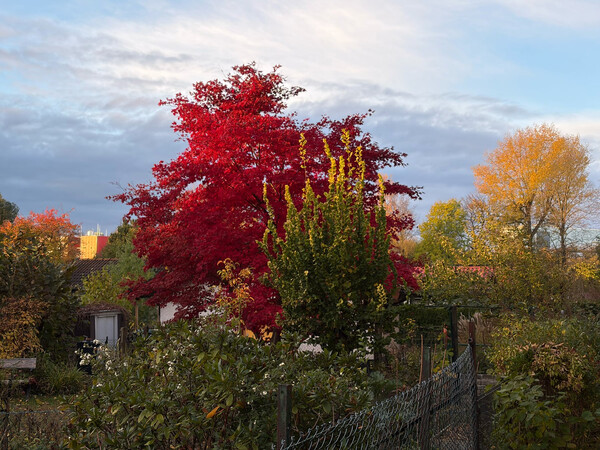 morgenspaziergang 25.10.2025