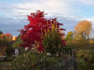morgenspaziergang 25.10.2025 morgenspaziergang 25.10.2025