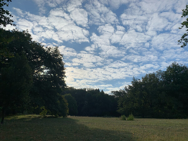 morgenspaziergang 27.08.2025