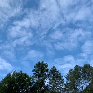 morgenspaziergang 27.08.2025