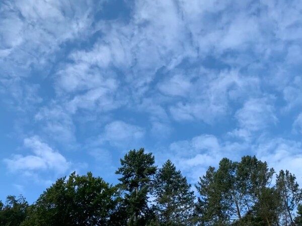 morgenspaziergang 27.08.2025