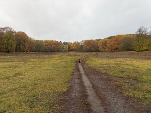 morgenspaziergang 27.10.2025 morgenspaziergang 27.10.2025