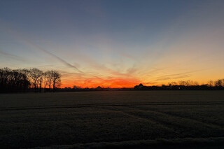 sonnenaufgang in karken mit kahlen b&auml;umen am horizont. der himmel leuchtet in warmen orange- und gelbt&ouml;nen, die in ein k&uuml;hles blau &uuml;bergehen. sanfte silhouetten und ruhige winterlandschaft.