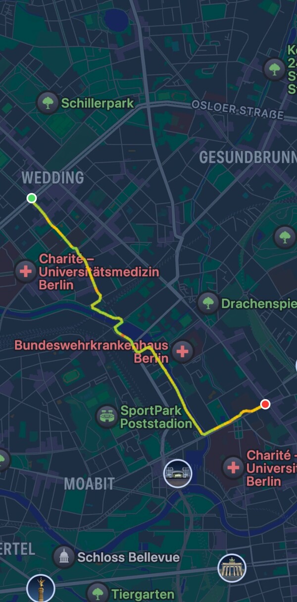 morgenspaziergang 28.08.2025