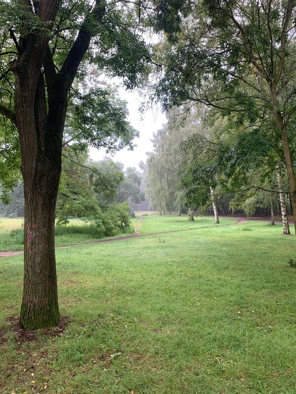 morgenspaziergang 29.08.2025