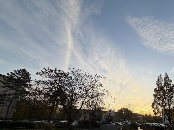 morgenspaziergang 29.10.2025