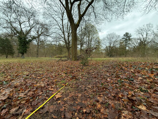 morgenspaziergang 30.03.2026