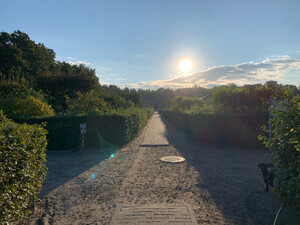 morgenspaziergang 30.09.2025
