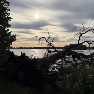 morgenspaziergang 30.09.2026