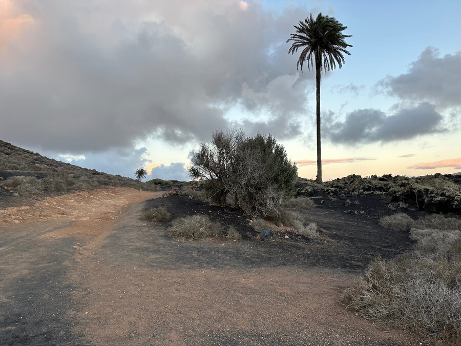 bild von einer „vulkanwanderung“ der beifahrerin auf lanzarote